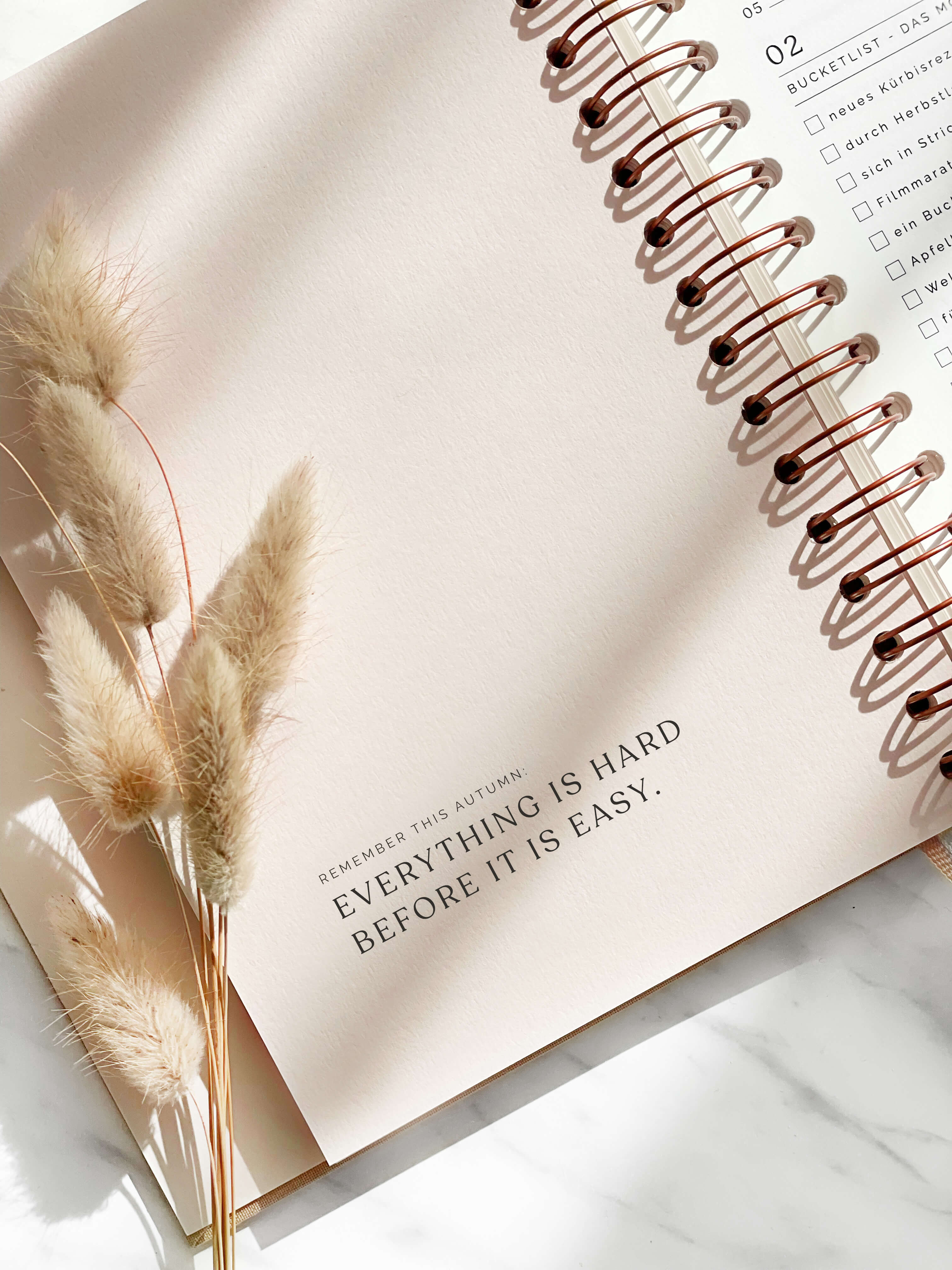 Kalender 2026 | DIN A5 | beige